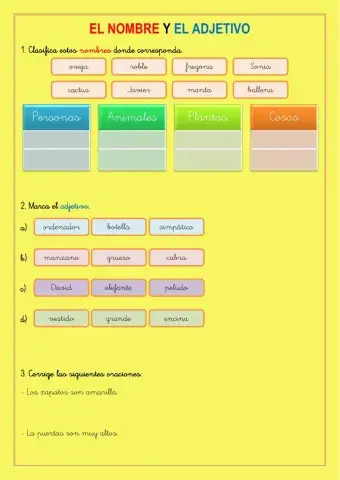 El nombre y el adjetivo