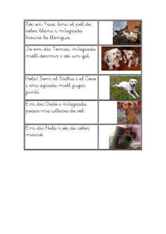 Com es diu cada mascota?