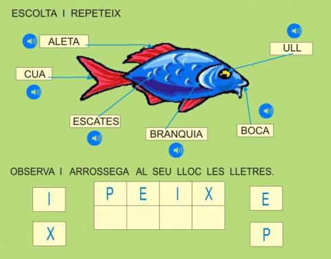 Vocabulari PEIX