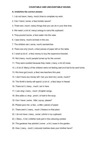 Countable and Uncountable Nouns