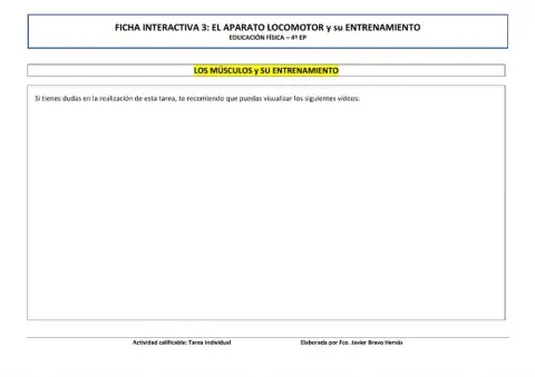 El aparato locomotor: los músculos y su entrenamiento