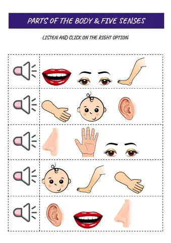 Parts of the body & Five Senses