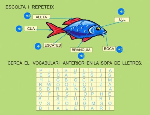 Vocabulari i  sopa lletres PEIX