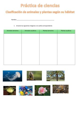 Clasificacion de animles y plantas según su hábitat