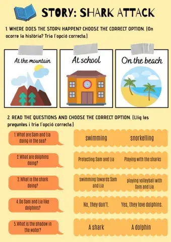 Story comprehension: shark attack