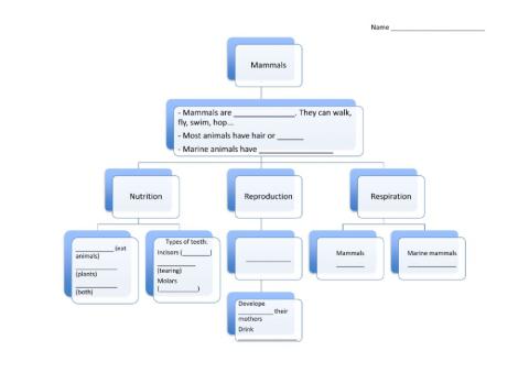 Unit 4: Mammals Complete the Scheme