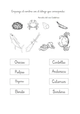 Animales mar Cantábrico