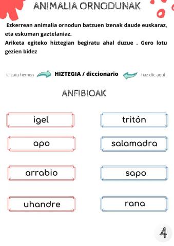 Animalia ornodunen hiztegia2