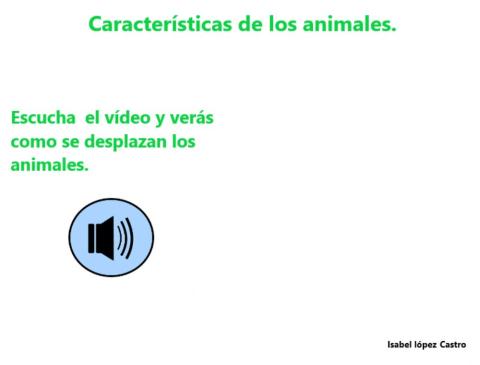 Animales