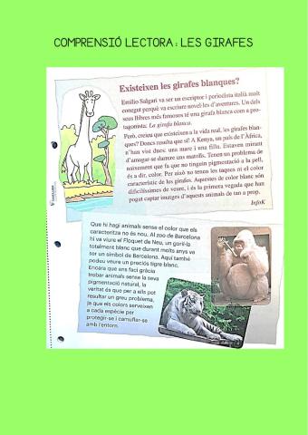 Comprensió lectora