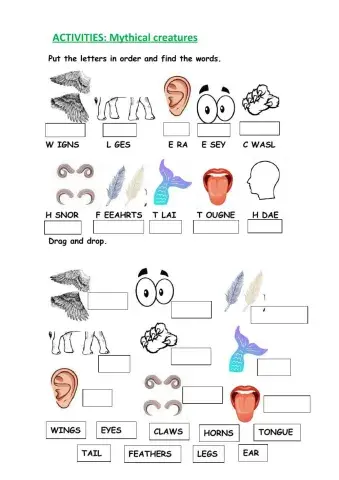 Animals body parts