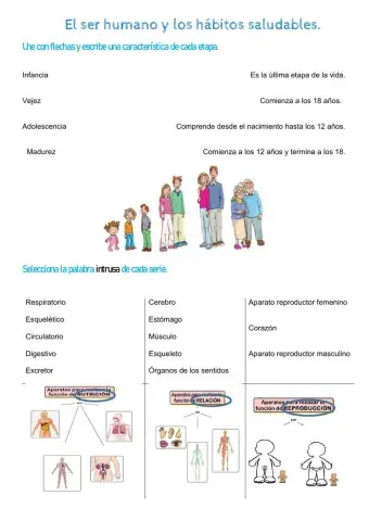 C. Naturales Autocorregible 5.
