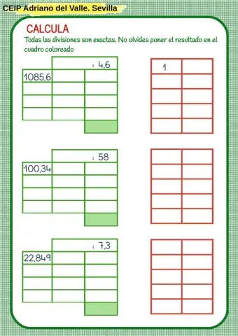 Divisor decimal (ABN)4