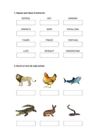 Els animals
