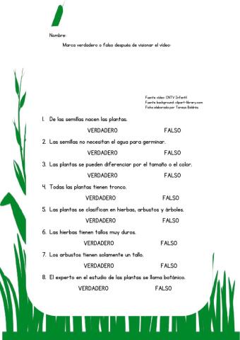 Clasificación de las plantas
