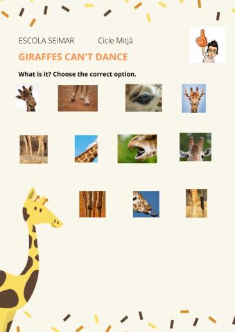 Giraffes can't dance 6