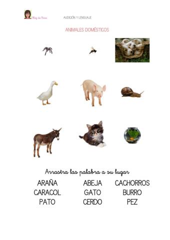 Animales domesticos