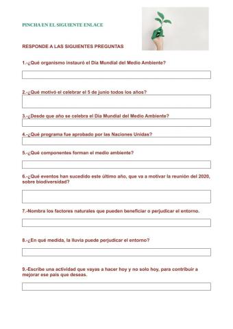 Origen Medio Ambiente