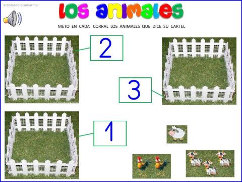 Animales al corral