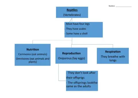 Unit 4 Reptiles Scheme