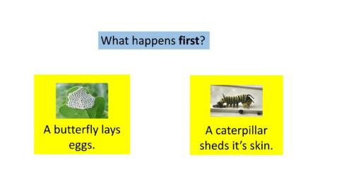 Caterpillar Sequence