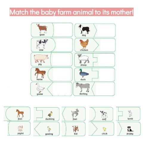 Farm animals and their babies