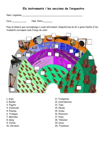 Els instruments i les seccions de l'orquestra