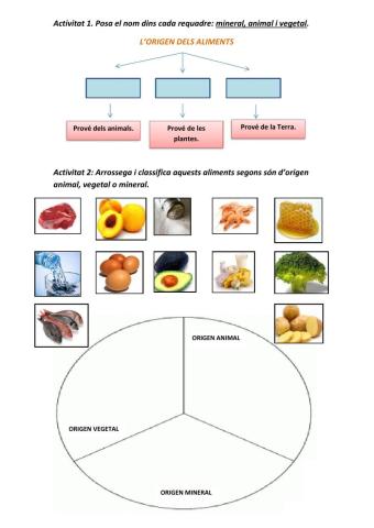 Origen dels aliments