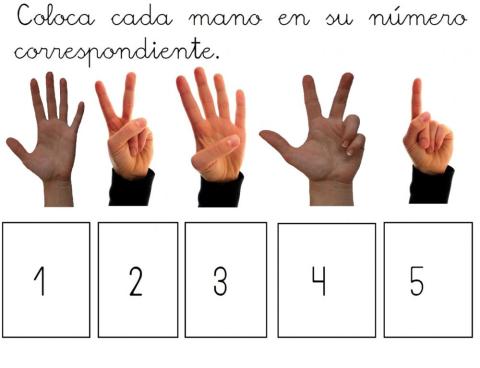 Asocial cantidades a números