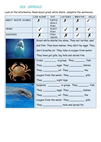 Sea animals