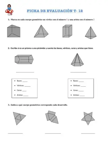Ficha de evaluación de matemáticas T-12