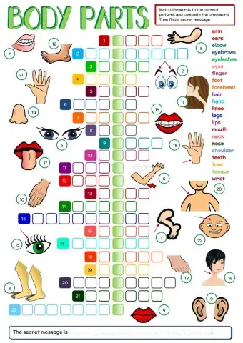 Body parts - crossword