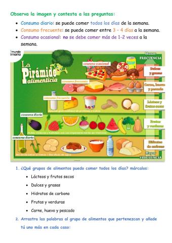 Alimentos 1º