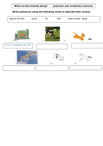 Animals present continuous