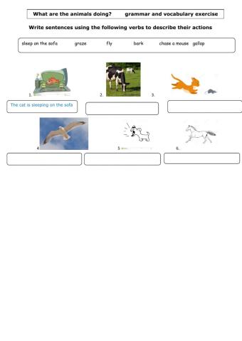 Animals present continuous