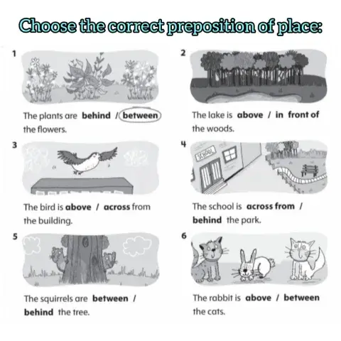 Prepositions of place