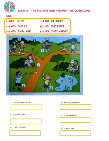 Read the questions and answer