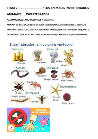 Los animales invertebrados. parte 1.poríferos,anélidos y moluscos.