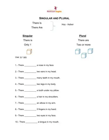 Singular and Plural: there is, there are