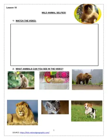 Wild animals selfies