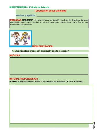 Circulación en animales