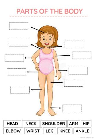 Parts of the body