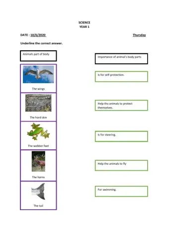 Importance Of Animal's Body Parts