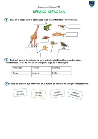 Repaso natural Science 3ºEP Term 1