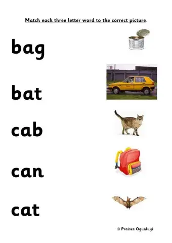 Matching Three letter words CVC