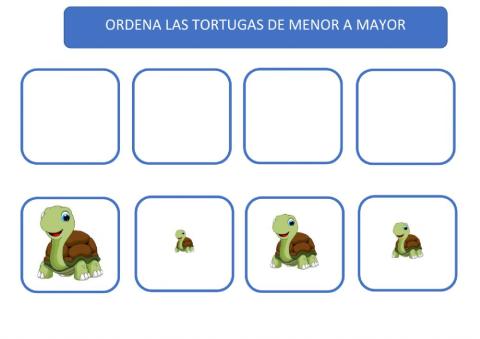 Las Tortugas
