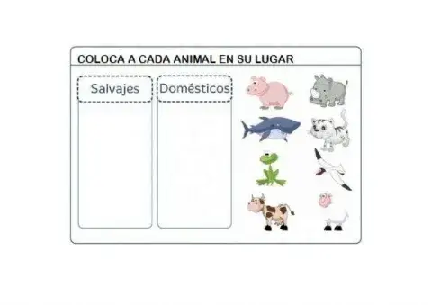 Animales domésticos y salvajes