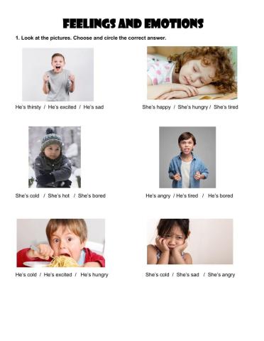 Feelings and emotions