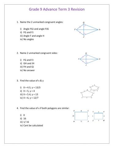 Revision for Term 3 Grade 9