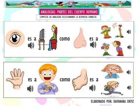 Analogías: Cuerpo